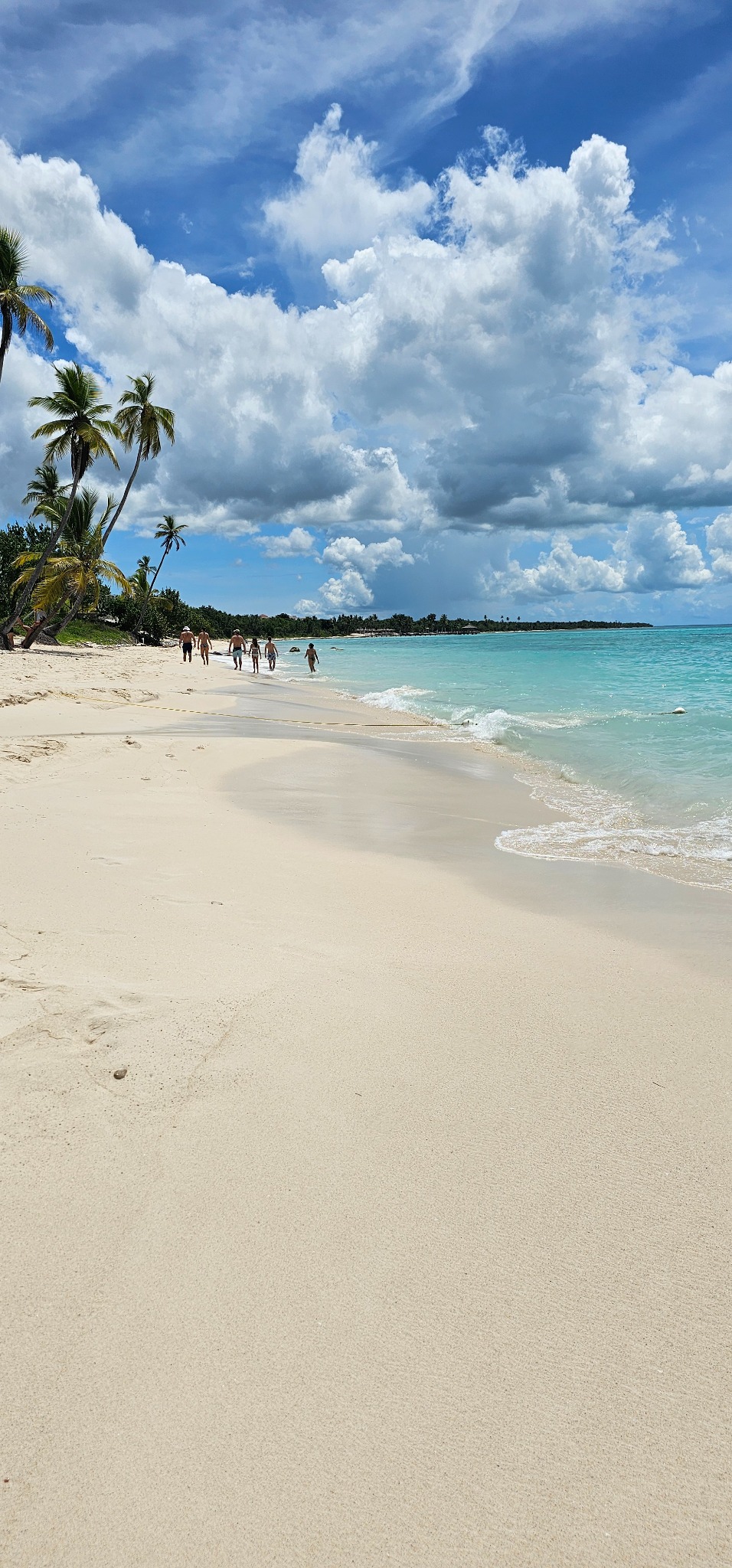 Praia e palmeiras de Bayahibe