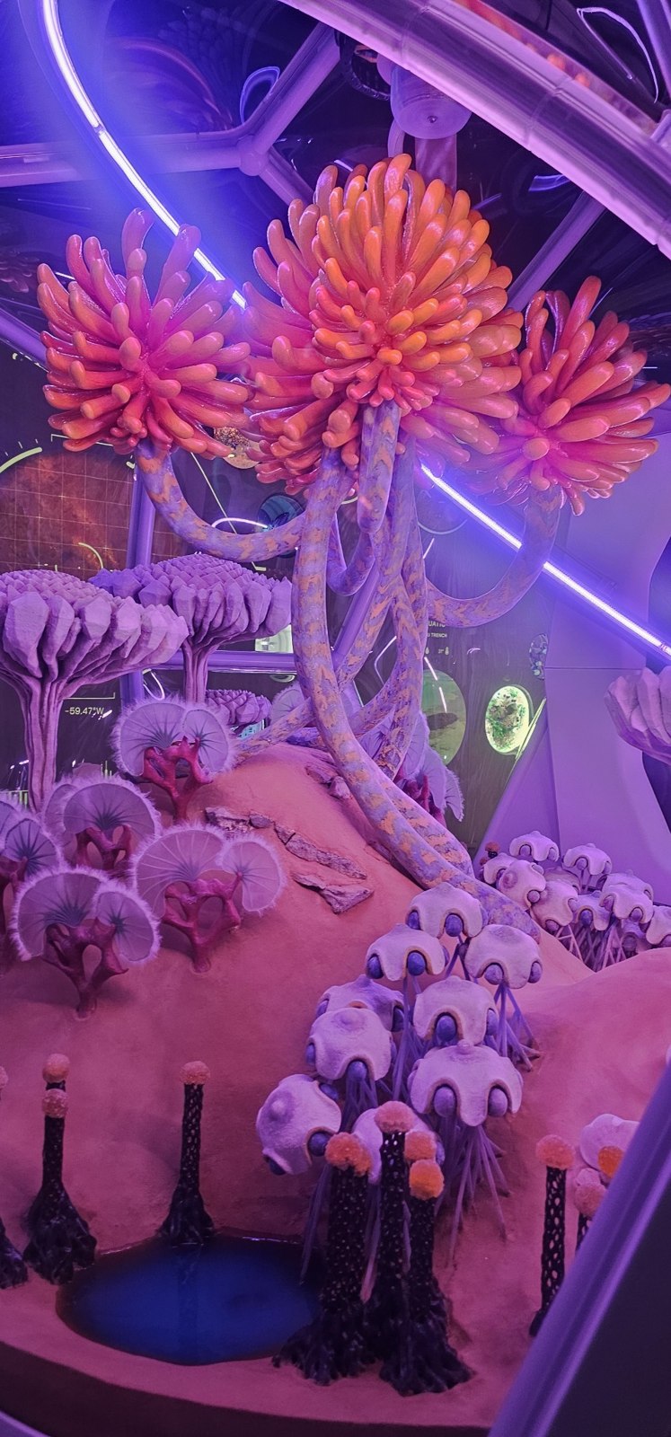Instalação imersiva colorida no Museu do Futuro em junho de 2026